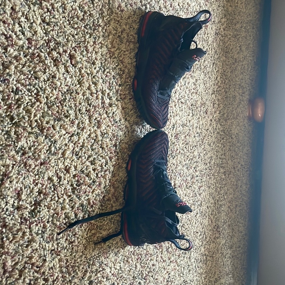 LeBron 16 fresh bred